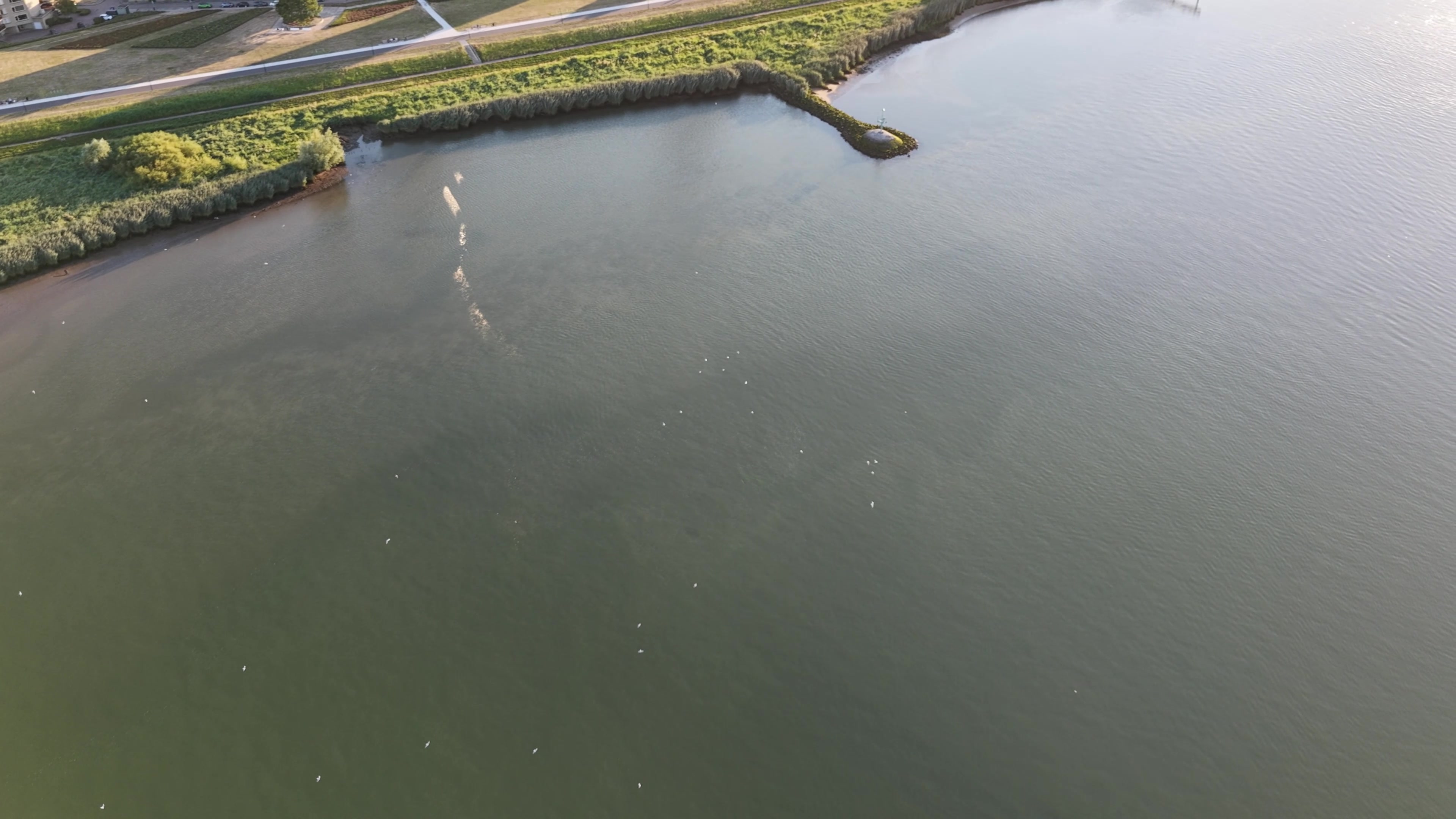 Water en groene oever